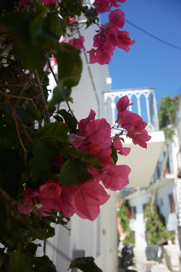 Cozy Home 1 Tínos المظهر الخارجي الصورة